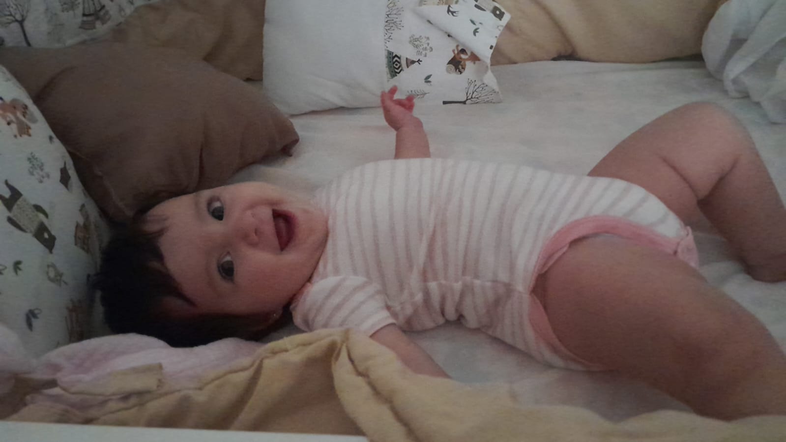 WhatsApp Image 2025-02-03 at 15.08.28.jpeg